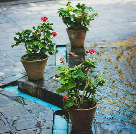 دانلود آهنگ در هوای عاشقی بالو پر بشکسته ام حمید سلمانی